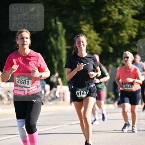 01.09.2024 - BARMER Alsterlauf Dr. Thomas Lammeyer http://msf.ph/oto/6909570 01.09.2024 09:44:16 Laufen 2881, 5147, 3643 meine-sportfotos.de