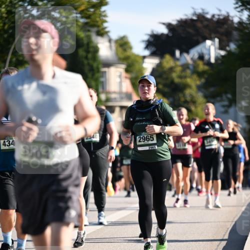 01.09.2024 - BARMER Alsterlauf Dr. Thomas Lammeyer http://msf.ph/oto/6909965 01.09.2024 09:44:32 Laufen 434, 3504, 2340, 2965, 2965 meine-sportfotos.de