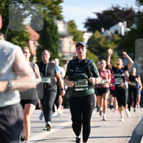 01.09.2024 - BARMER Alsterlauf Dr. Thomas Lammeyer http://msf.ph/oto/6909987 01.09.2024 09:44:32 Laufen 2340, 2965, 2965 meine-sportfotos.de