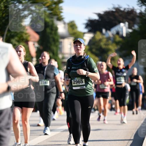 01.09.2024 - BARMER Alsterlauf Dr. Thomas Lammeyer http://msf.ph/oto/6909999 01.09.2024 09:44:33 Laufen 2340, 2965, 2965 meine-sportfotos.de