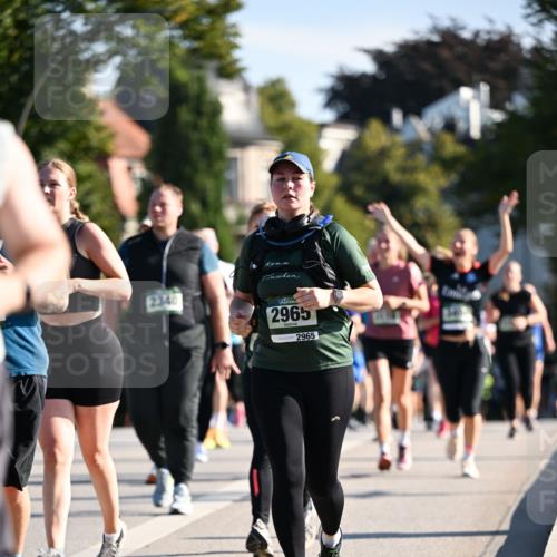 01.09.2024 - BARMER Alsterlauf Dr. Thomas Lammeyer http://msf.ph/oto/6910004 01.09.2024 09:44:33 Laufen 2340, 2965, 2965 meine-sportfotos.de