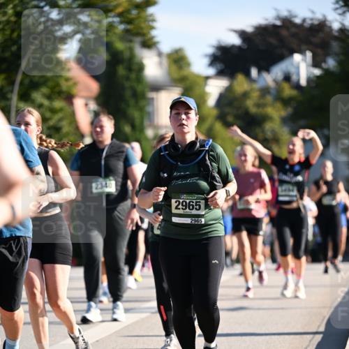 01.09.2024 - BARMER Alsterlauf Dr. Thomas Lammeyer http://msf.ph/oto/6910007 01.09.2024 09:44:33 Laufen 2340, 2965, 2965 meine-sportfotos.de