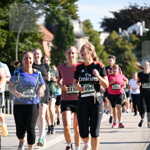01.09.2024 - BARMER Alsterlauf Dr. Thomas Lammeyer http://msf.ph/oto/6910099 01.09.2024 09:44:37 Laufen 4642, 311, 2494, 3484, 2460, 2459 meine-sportfotos.de