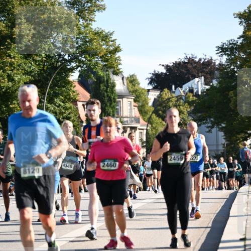 01.09.2024 - BARMER Alsterlauf Dr. Thomas Lammeyer http://msf.ph/oto/6910218 01.09.2024 09:44:41 Laufen 2460, 4340, 8120, 2459, 273 meine-sportfotos.de