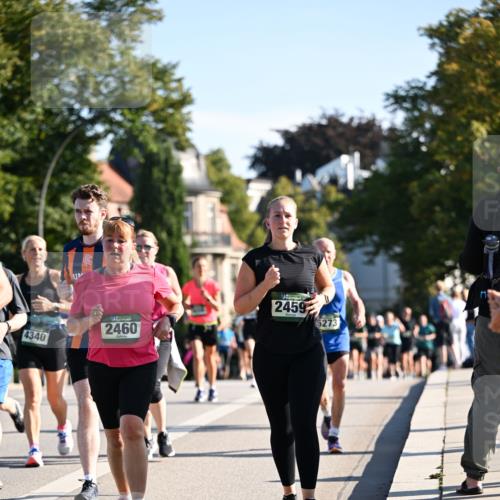 01.09.2024 - BARMER Alsterlauf Dr. Thomas Lammeyer http://msf.ph/oto/6910229 01.09.2024 09:44:42 Laufen 4340, 2460, 2459, 5273 meine-sportfotos.de