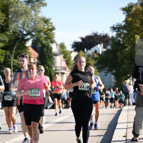 01.09.2024 - BARMER Alsterlauf Dr. Thomas Lammeyer http://msf.ph/oto/6910231 01.09.2024 09:44:42 Laufen 4340, 2460, 2459, 273 meine-sportfotos.de