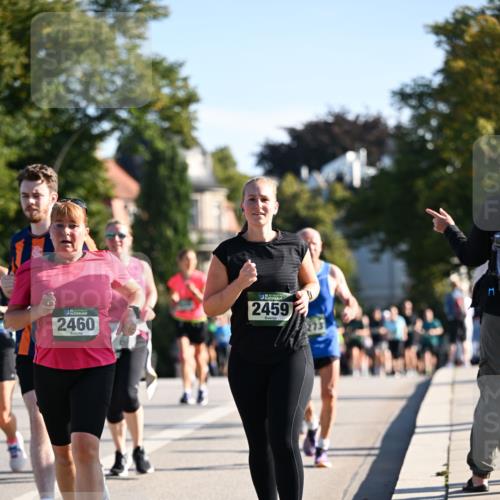 01.09.2024 - BARMER Alsterlauf Dr. Thomas Lammeyer http://msf.ph/oto/6910242 01.09.2024 09:44:43 Laufen 2460, 2459 meine-sportfotos.de