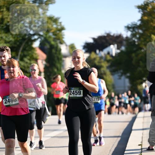 01.09.2024 - BARMER Alsterlauf Dr. Thomas Lammeyer http://msf.ph/oto/6910253 01.09.2024 09:44:43 Laufen 2460, 15, 2459 meine-sportfotos.de