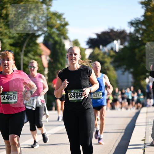 01.09.2024 - BARMER Alsterlauf Dr. Thomas Lammeyer http://msf.ph/oto/6910259 01.09.2024 09:44:43 Laufen 35, 2460, 2459, 27 meine-sportfotos.de