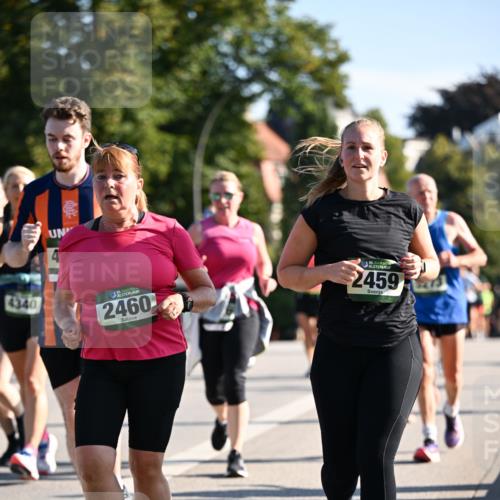 01.09.2024 - BARMER Alsterlauf Dr. Thomas Lammeyer http://msf.ph/oto/6910266 01.09.2024 09:44:44 Laufen 4340, 2460, 35, 2459 meine-sportfotos.de