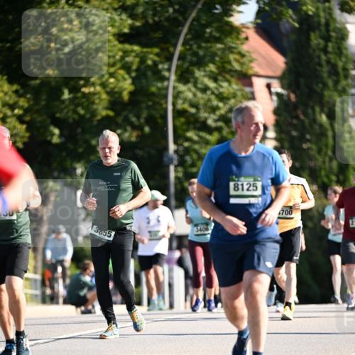 01.09.2024 - BARMER Alsterlauf Dr. Thomas Lammeyer http://msf.ph/oto/6911552 01.09.2024 09:45:40 Laufen 8125, 3855, 700 meine-sportfotos.de