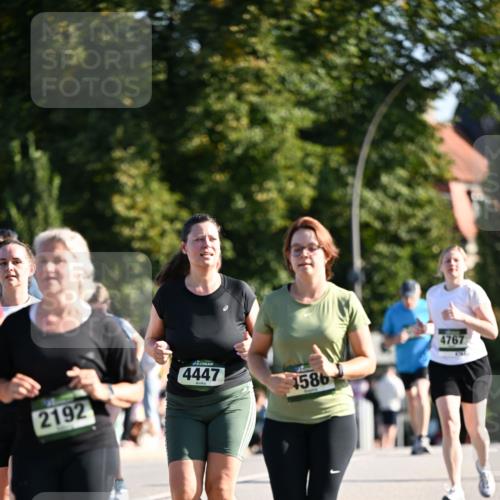 01.09.2024 - BARMER Alsterlauf Dr. Thomas Lammeyer http://msf.ph/oto/6911832 01.09.2024 09:45:49 Laufen 2192, 4447, 1586, 4767 meine-sportfotos.de