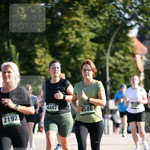 01.09.2024 - BARMER Alsterlauf Dr. Thomas Lammeyer http://msf.ph/oto/6911839 01.09.2024 09:45:49 Laufen 2192, 4447, 4586, 4767 meine-sportfotos.de
