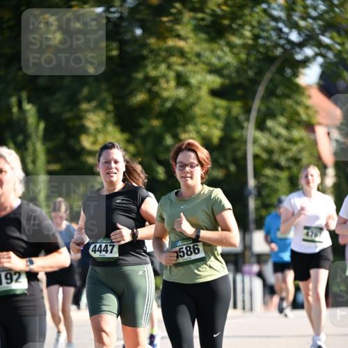 01.09.2024 - BARMER Alsterlauf Dr. Thomas Lammeyer http://msf.ph/oto/6911842 01.09.2024 09:45:50 Laufen 192, 4447, 586, 476 meine-sportfotos.de