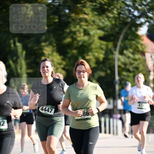 01.09.2024 - BARMER Alsterlauf Dr. Thomas Lammeyer http://msf.ph/oto/6911853 01.09.2024 09:45:50 Laufen 92, 4447, 86, 476 meine-sportfotos.de