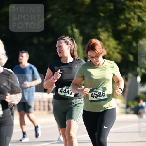 01.09.2024 - BARMER Alsterlauf Dr. Thomas Lammeyer http://msf.ph/oto/6911881 01.09.2024 09:45:51 Laufen 4447, 4586 meine-sportfotos.de