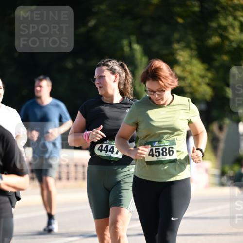 01.09.2024 - BARMER Alsterlauf Dr. Thomas Lammeyer http://msf.ph/oto/6911892 01.09.2024 09:45:51 Laufen 4447, 4586 meine-sportfotos.de