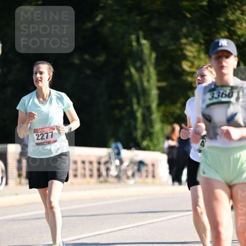 01.09.2024 - BARMER Alsterlauf Dr. Thomas Lammeyer http://msf.ph/oto/6911949 01.09.2024 09:45:53 Laufen 2277, 3360 meine-sportfotos.de