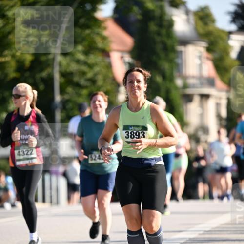01.09.2024 - BARMER Alsterlauf Dr. Thomas Lammeyer http://msf.ph/oto/6912082 01.09.2024 09:45:58 Laufen 4322, 524, 5, 3893 meine-sportfotos.de