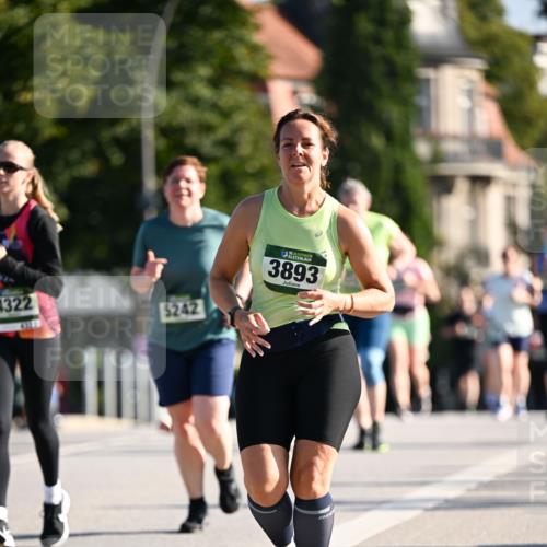 01.09.2024 - BARMER Alsterlauf Dr. Thomas Lammeyer http://msf.ph/oto/6912108 01.09.2024 09:45:58 Laufen 1322, 5242, 35, 3893 meine-sportfotos.de