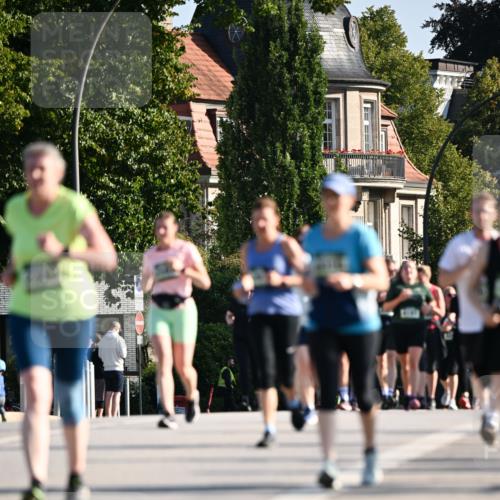 01.09.2024 - BARMER Alsterlauf Dr. Thomas Lammeyer http://msf.ph/oto/6912183 01.09.2024 09:46:02 Laufen  meine-sportfotos.de
