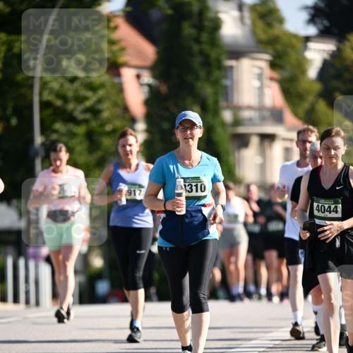 01.09.2024 - BARMER Alsterlauf Dr. Thomas Lammeyer http://msf.ph/oto/6912191 01.09.2024 09:46:03 Laufen 917, 310, 4044 meine-sportfotos.de