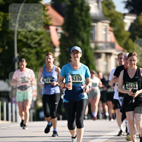 01.09.2024 - BARMER Alsterlauf Dr. Thomas Lammeyer http://msf.ph/oto/6912200 01.09.2024 09:46:03 Laufen 391, 8310, 4044 meine-sportfotos.de
