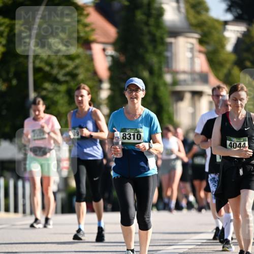 01.09.2024 - BARMER Alsterlauf Dr. Thomas Lammeyer http://msf.ph/oto/6912207 01.09.2024 09:46:03 Laufen 8310, 4044 meine-sportfotos.de