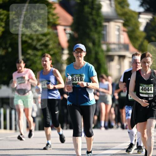 01.09.2024 - BARMER Alsterlauf Dr. Thomas Lammeyer http://msf.ph/oto/6912213 01.09.2024 09:46:04 Laufen 39, 8310, 4044, 4044 meine-sportfotos.de