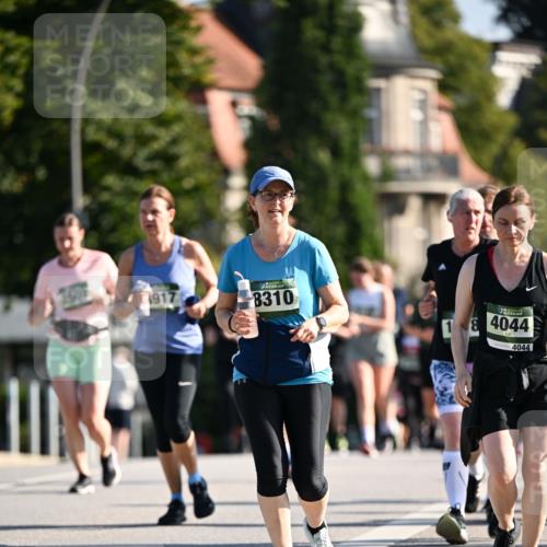 01.09.2024 - BARMER Alsterlauf Dr. Thomas Lammeyer http://msf.ph/oto/6912219 01.09.2024 09:46:04 Laufen 917, 8310, 1, 8, 4044, 4044 meine-sportfotos.de