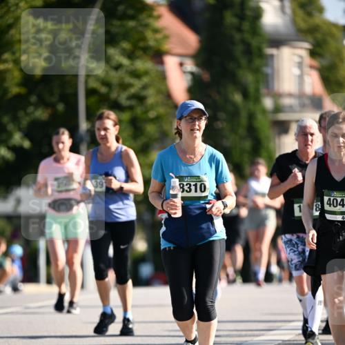 01.09.2024 - BARMER Alsterlauf Dr. Thomas Lammeyer http://msf.ph/oto/6912237 01.09.2024 09:46:04 Laufen 8310, 1, 8, 5, 404, 40 meine-sportfotos.de