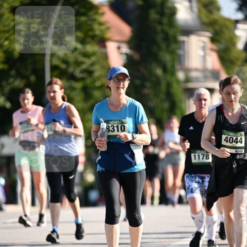 01.09.2024 - BARMER Alsterlauf Dr. Thomas Lammeyer http://msf.ph/oto/6912246 01.09.2024 09:46:04 Laufen 8310, 1178, 35, 4044, 4044 meine-sportfotos.de