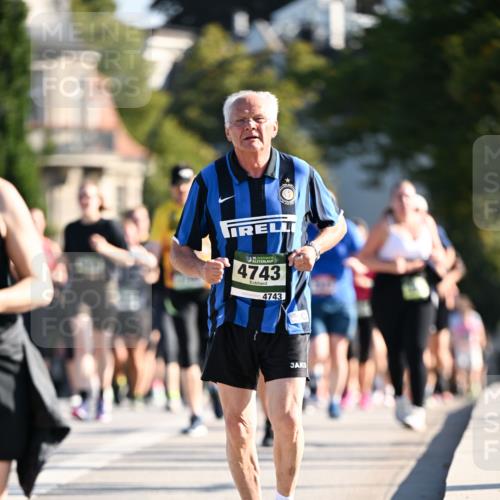 01.09.2024 - BARMER Alsterlauf Dr. Thomas Lammeyer http://msf.ph/oto/6912329 01.09.2024 09:46:08 Laufen 135, 4743, 4743 meine-sportfotos.de