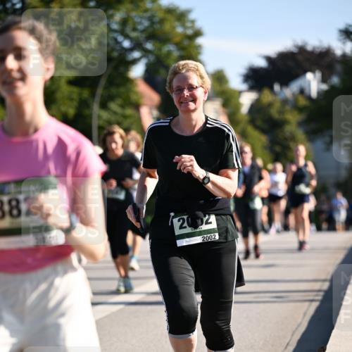 01.09.2024 - BARMER Alsterlauf Dr. Thomas Lammeyer http://msf.ph/oto/6912922 01.09.2024 09:46:34 Laufen 382, 2002, 2002 meine-sportfotos.de