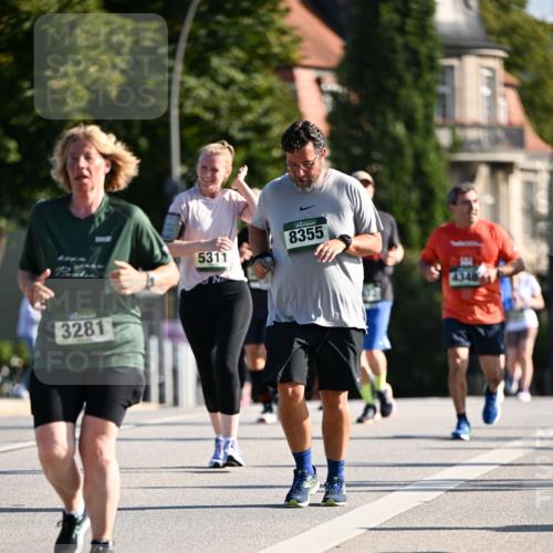 01.09.2024 - BARMER Alsterlauf Dr. Thomas Lammeyer http://msf.ph/oto/6913311 01.09.2024 09:46:50 Laufen 3281, 5311, 8355, 4348 meine-sportfotos.de