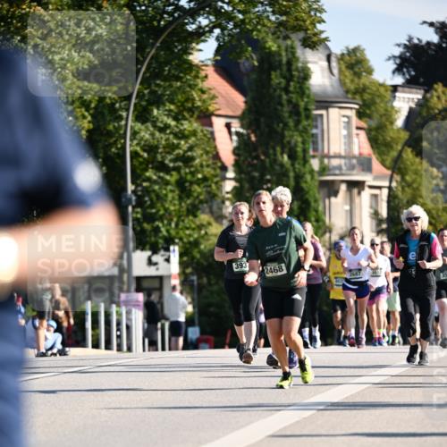 01.09.2024 - BARMER Alsterlauf Dr. Thomas Lammeyer http://msf.ph/oto/6913776 01.09.2024 09:47:07 Laufen 393, 2468, 2687, 3612, 357 meine-sportfotos.de