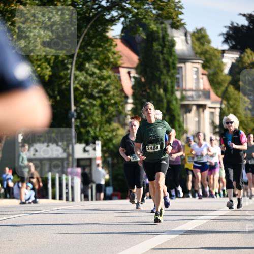 01.09.2024 - BARMER Alsterlauf Dr. Thomas Lammeyer http://msf.ph/oto/6913780 01.09.2024 09:47:07 Laufen 393, 2468 meine-sportfotos.de