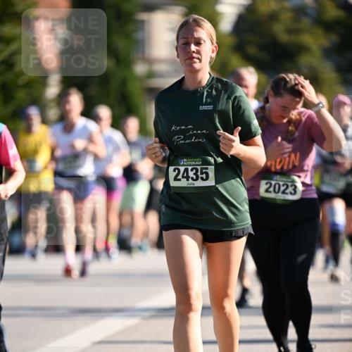 01.09.2024 - BARMER Alsterlauf Dr. Thomas Lammeyer http://msf.ph/oto/6913974 01.09.2024 09:47:13 Laufen 35, 135, 2435, 2023 meine-sportfotos.de