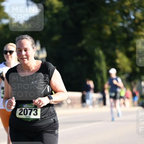 01.09.2024 - BARMER Alsterlauf Dr. Thomas Lammeyer http://msf.ph/oto/6914661 01.09.2024 09:47:39 Laufen 35, 2073 meine-sportfotos.de
