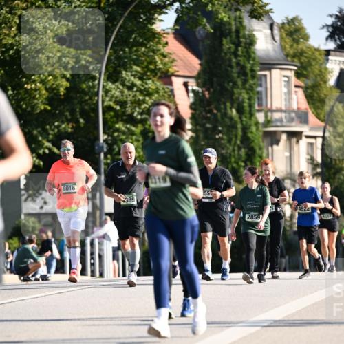 01.09.2024 - BARMER Alsterlauf Dr. Thomas Lammeyer http://msf.ph/oto/6914780 01.09.2024 09:47:44 Laufen 8016, 355, 4389, 4922, 2859, 4852 meine-sportfotos.de