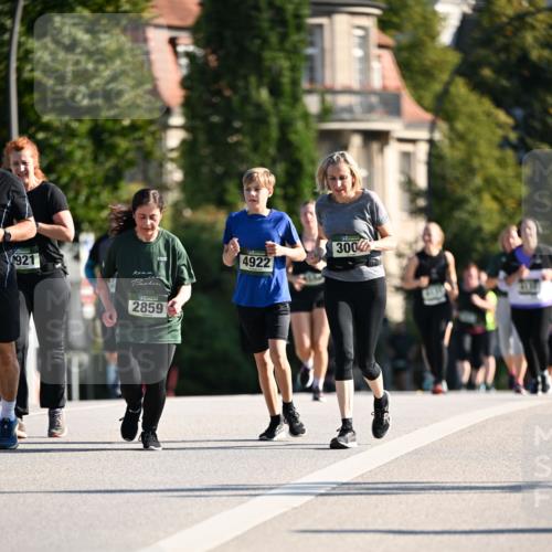 01.09.2024 - BARMER Alsterlauf Dr. Thomas Lammeyer http://msf.ph/oto/6914880 01.09.2024 09:47:47 Laufen 921, 2859, 4922, 300 meine-sportfotos.de