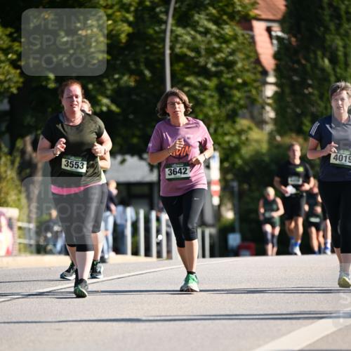 01.09.2024 - BARMER Alsterlauf Dr. Thomas Lammeyer http://msf.ph/oto/6915248 01.09.2024 09:48:03 Laufen 3553, 3642, 4019 meine-sportfotos.de