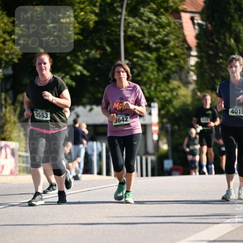 01.09.2024 - BARMER Alsterlauf Dr. Thomas Lammeyer http://msf.ph/oto/6915256 01.09.2024 09:48:04 Laufen 3553, 3642, 4019 meine-sportfotos.de