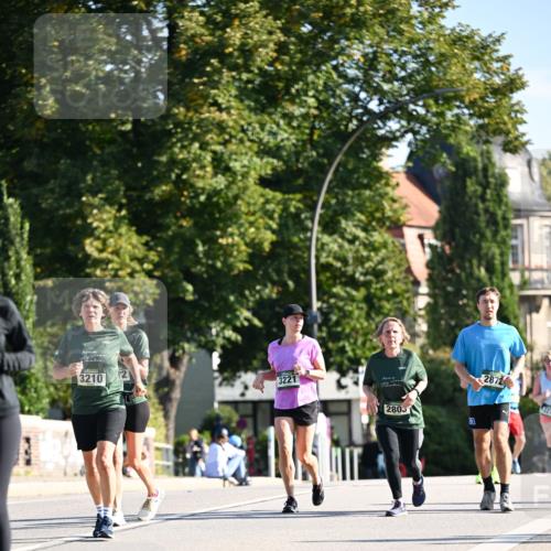 01.09.2024 - BARMER Alsterlauf Dr. Thomas Lammeyer http://msf.ph/oto/6915905 01.09.2024 09:48:36 Laufen 3210, 2, 3221, 2872, 2805 meine-sportfotos.de