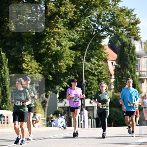 01.09.2024 - BARMER Alsterlauf Dr. Thomas Lammeyer http://msf.ph/oto/6915918 01.09.2024 09:48:36 Laufen 3210, 3221, 803, 2872, 1327 meine-sportfotos.de