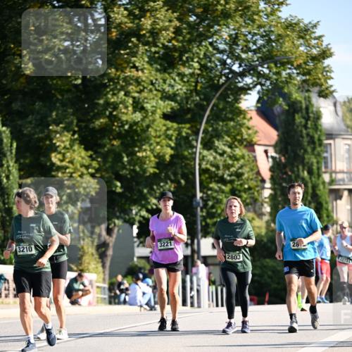 01.09.2024 - BARMER Alsterlauf Dr. Thomas Lammeyer http://msf.ph/oto/6915929 01.09.2024 09:48:36 Laufen 3210, 3221, 2803, 28, 3273 meine-sportfotos.de