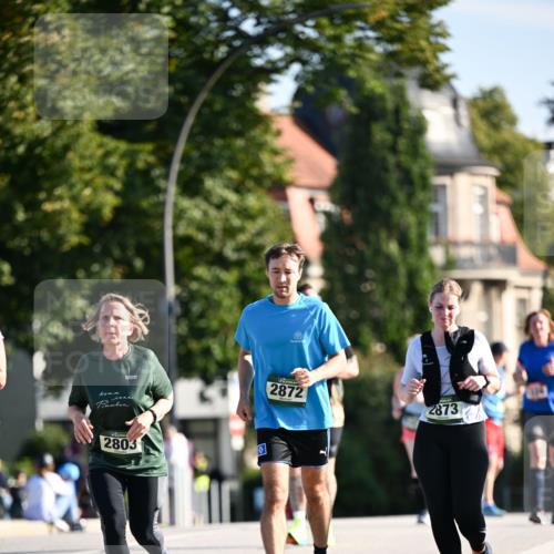 01.09.2024 - BARMER Alsterlauf Dr. Thomas Lammeyer http://msf.ph/oto/6915955 01.09.2024 09:48:38 Laufen 2803, 2872, 2873 meine-sportfotos.de