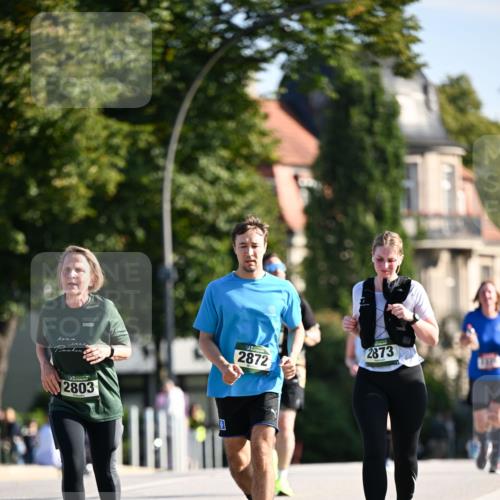 01.09.2024 - BARMER Alsterlauf Dr. Thomas Lammeyer http://msf.ph/oto/6915976 01.09.2024 09:48:38 Laufen 2803, 2873, 2872 meine-sportfotos.de