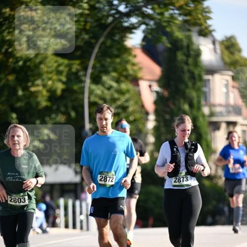 01.09.2024 - BARMER Alsterlauf Dr. Thomas Lammeyer http://msf.ph/oto/6915993 01.09.2024 09:48:39 Laufen 2803, 2872, 2873 meine-sportfotos.de