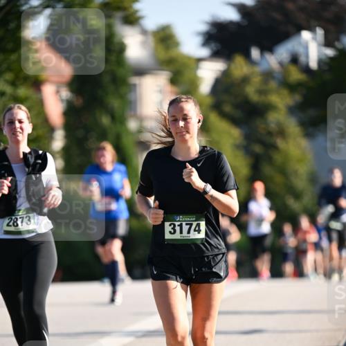 01.09.2024 - BARMER Alsterlauf Dr. Thomas Lammeyer http://msf.ph/oto/6916050 01.09.2024 09:48:41 Laufen 2873, 35, 3174 meine-sportfotos.de